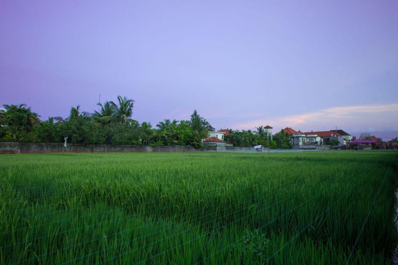 The Awandari Villas Seminyak - Chse Certified Zewnętrze zdjęcie